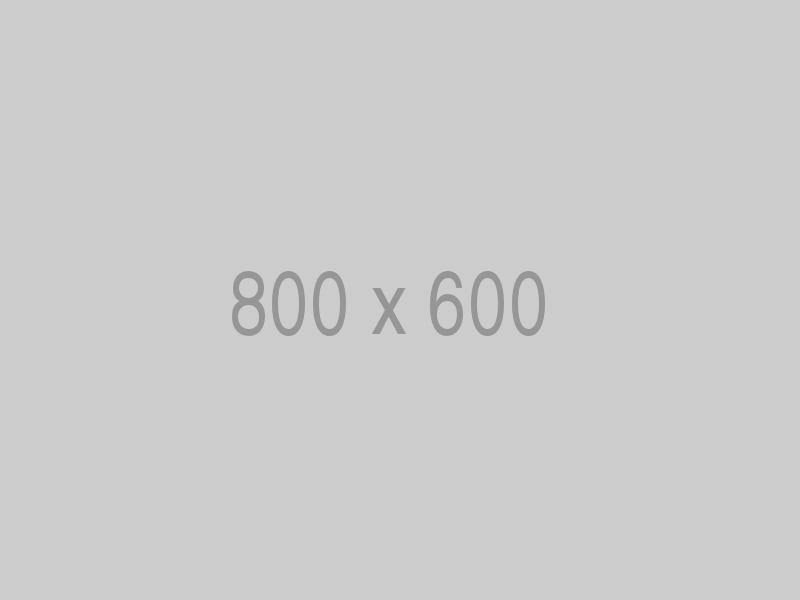 http://172.16.5.72:8080/lp/wp-content/uploads/2021/05/litho-800x600-ph.jpg